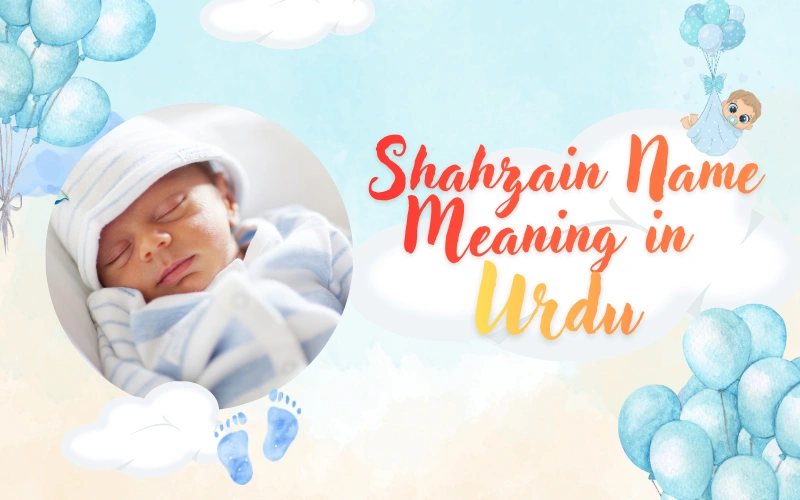 shahzain name meaning in Urdu