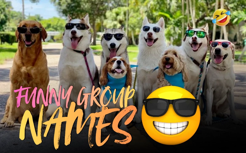funny group names
