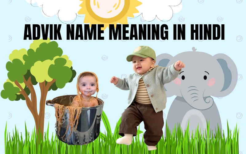 advik name meaning in hindi