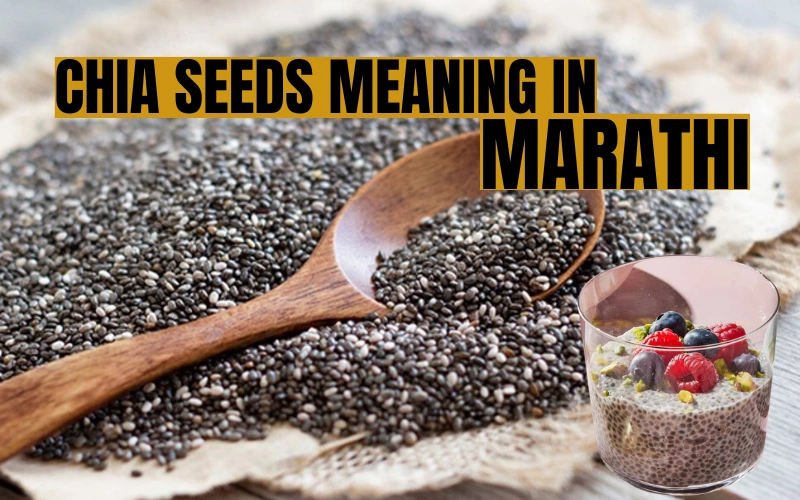 Chia Seeds Meaning in Marathi