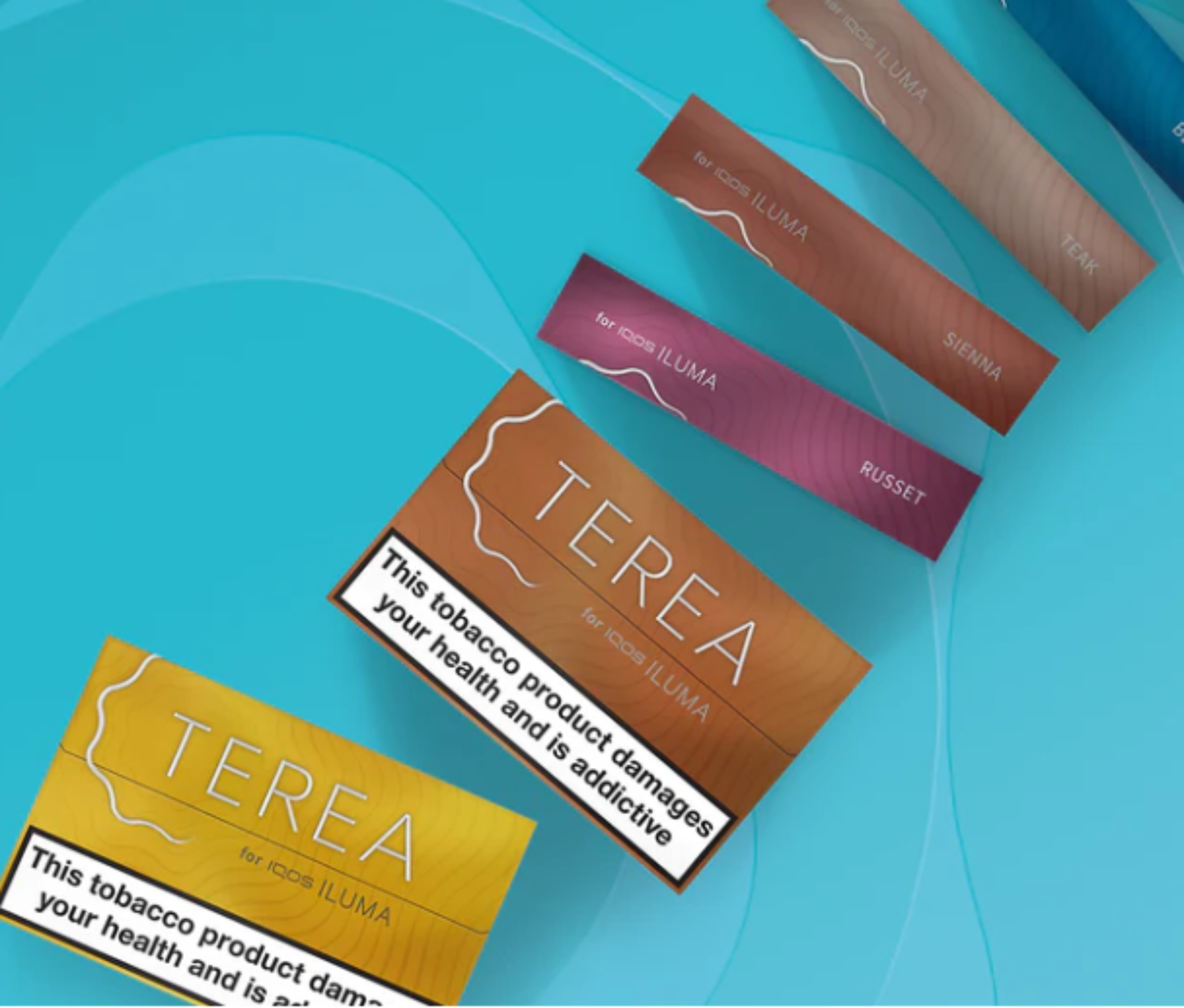 Terea Dubai – Complete Guide to Terea Sienna Experience